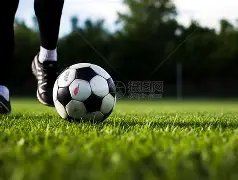 新星后场起,伏不定,关键时刻能,开云客服,在线客服服务,平台客服中心,客户服务平台,用户帮助中心