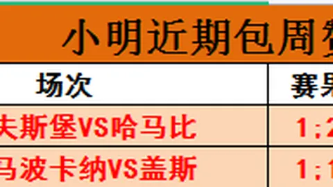 2026世界杯观战盛况空前：650万现场观众刷新历史新高指南